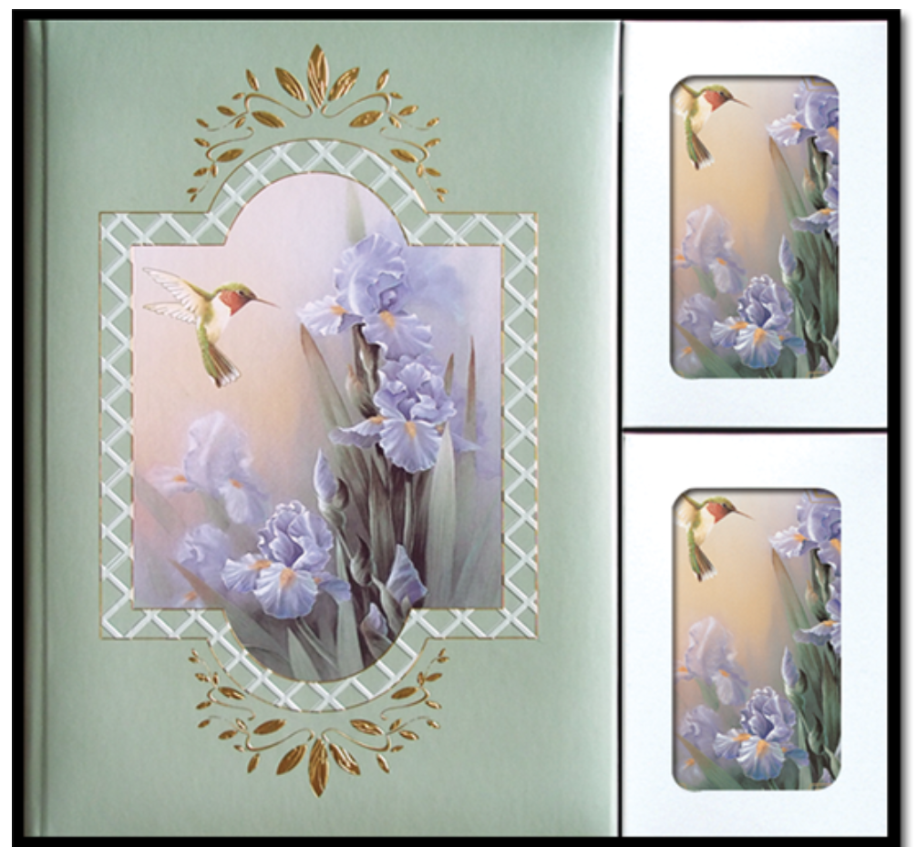 Wings of Gold Box Set
(320030)