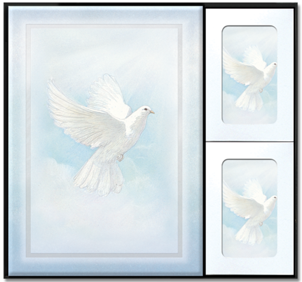 Divine Flight Box Set
(630030)